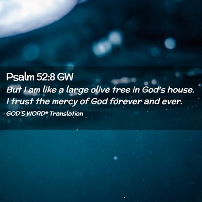 Picture 02 - Psalm 52:8 GW - But I am like a large olive tree in God’s - Bible Verse Picture