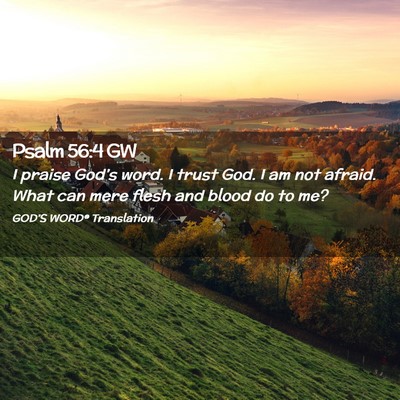 Picture 02 - Psalm 56:4 GW - I praise God’s word. I trust God. I am not - Bible Verse Picture