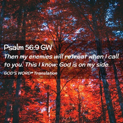 Picture 02 - Psalm 56:9 GW - Then my enemies will retreat when I call to you. - Bible Verse Picture