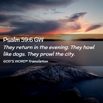 Picture 02 - Psalm 59:6 GW - They return in the evening. They howl like dogs. - Bible Verse Picture
