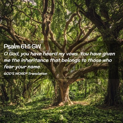 Picture 02 - Psalm 61:5 GW - O God, you have heard my vows. You have given me - Bible Verse Picture