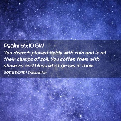 Picture 02 - Psalm 65:10 GW - You drench plowed fields with rain and level - Bible Verse Picture