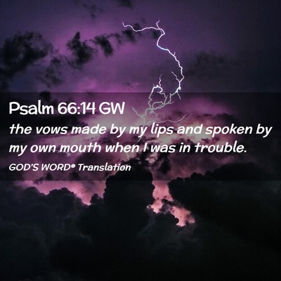 Picture 02 - Psalm 66:14 GW - the vows made by my lips and spoken by my own - Bible Verse Picture