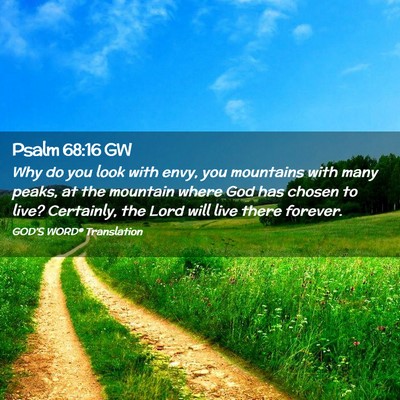 Picture 02 - Psalm 68:16 GW - Why do you look with envy, you mountains with - Bible Verse Picture