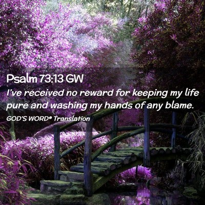 Picture 02 - Psalm 73:13 GW - I’ve received no reward for keeping my life - Bible Verse Picture