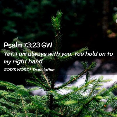 Picture 02 - Psalm 73:23 GW - Yet, I am always with you. You hold on to my - Bible Verse Picture