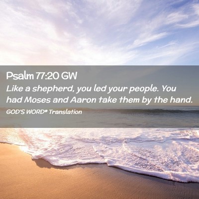 Picture 02 - Psalm 77:20 GW - Like a shepherd, you led your people. You had - Bible Verse Picture