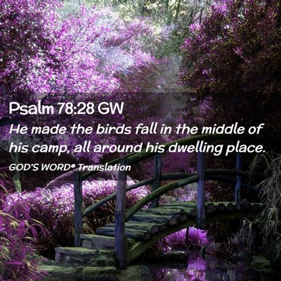 Picture 02 - Psalm 78:28 GW - He made the birds fall in the middle of his camp, - Bible Verse Picture