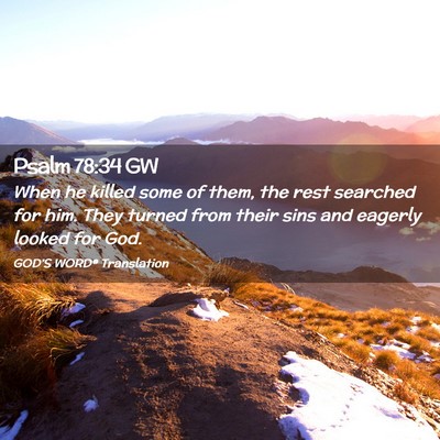 Picture 02 - Psalm 78:34 GW - When he killed some of them, the rest searched - Bible Verse Picture