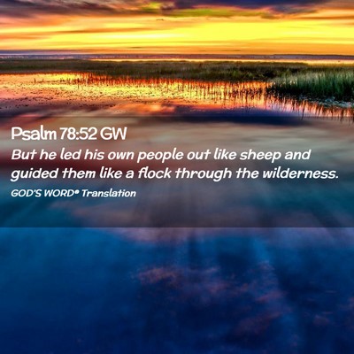 Picture 02 - Psalm 78:52 GW - But he led his own people out like sheep and - Bible Verse Picture