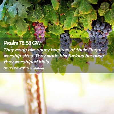 Picture 02 - Psalm 78:58 GW - They made him angry because of their illegal - Bible Verse Picture