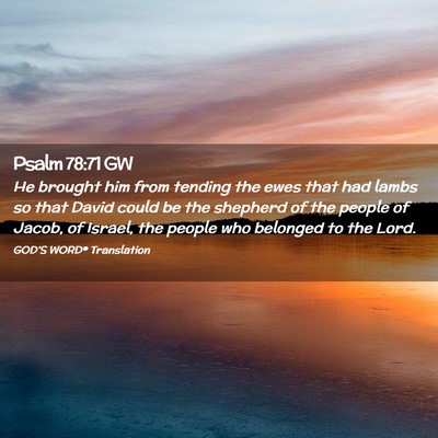Picture 02 - Psalm 78:71 GW - He brought him from tending the ewes that had - Bible Verse Picture