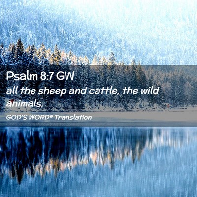 Picture 02 - Psalm 8:7 GW - all the sheep and cattle, the wild - Bible Verse Picture