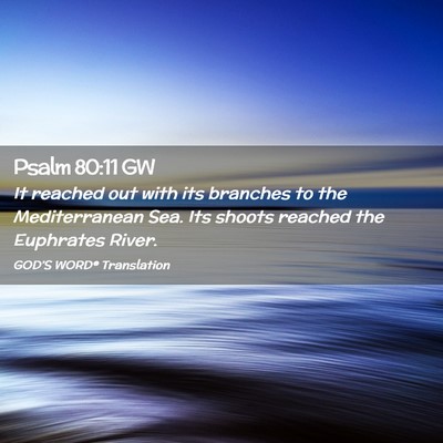Picture 02 - Psalm 80:11 GW - It reached out with its branches to the - Bible Verse Picture