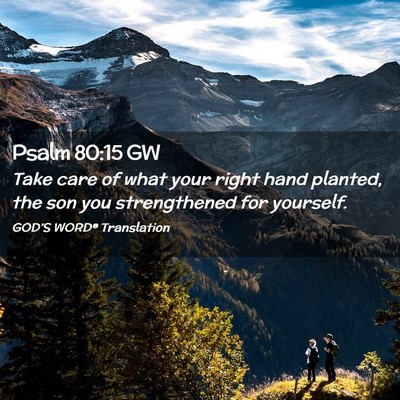 Picture 02 - Psalm 80:15 GW - Take care of what your right hand planted, the - Bible Verse Picture