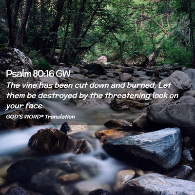 Picture 02 - Psalm 80:16 GW - The vine has been cut down and burned. Let them - Bible Verse Picture