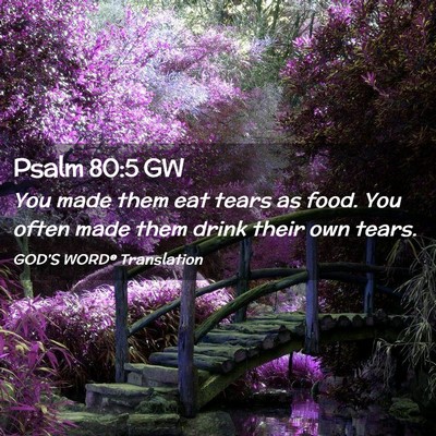 Picture 02 - Psalm 80:5 GW - You made them eat tears as food. You often made - Bible Verse Picture