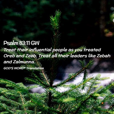 Picture 02 - Psalm 83:11 GW - Treat their influential people as you treated - Bible Verse Picture