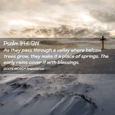 Picture 02 - Psalm 84:6 GW - As they pass through a valley where balsam trees - Bible Verse Picture