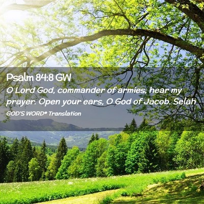 Picture 02 - Psalm 84:8 GW - O Lord God, commander of armies, hear my prayer. - Bible Verse Picture