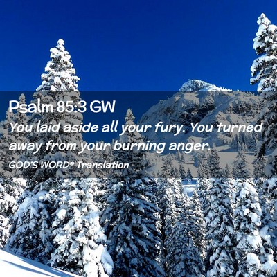 Picture 02 - Psalm 85:3 GW - You laid aside all your fury. You turned away - Bible Verse Picture