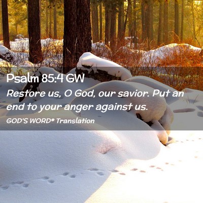 Picture 02 - Psalm 85:4 GW - Restore us, O God, our savior. Put an end to your - Bible Verse Picture