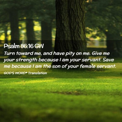 Picture 02 - Psalm 86:16 GW - Turn toward me, and have pity on me. Give me your - Bible Verse Picture