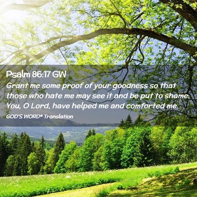 Picture 02 - Psalm 86:17 GW - Grant me some proof of your goodness so that - Bible Verse Picture