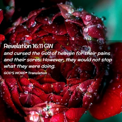 Picture 02 - Revelation 16:11 GW - and cursed the God of heaven for their pains and - Bible Verse Picture