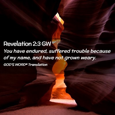 Picture 02 - Revelation 2:3 GW - You have endured, suffered trouble because of my - Bible Verse Picture