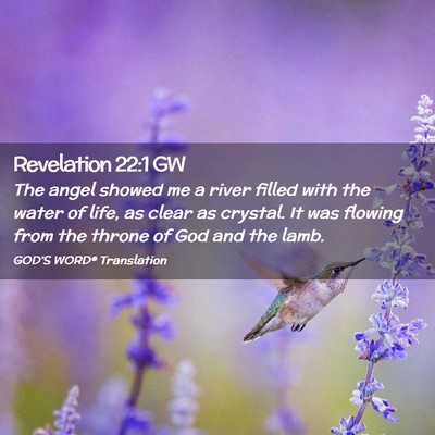 Picture 02 - Revelation 22:1 GW - The angel showed me a river filled with the water - Bible Verse Picture