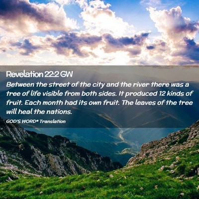 Picture 02 - Revelation 22:2 GW - Between the street of the city and the river - Bible Verse Picture