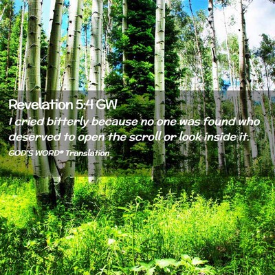 Picture 02 - Revelation 5:4 GW - I cried bitterly because no one was found who - Bible Verse Picture