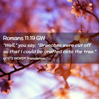 Picture 02 - Romans 11:19 GW - “Well,” you say, “Branches were cut off so - Bible Verse Picture