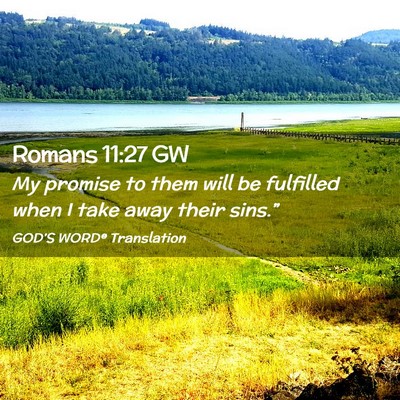 Picture 02 - Romans 11:27 GW - My promise to them will be fulfilled when I take - Bible Verse Picture