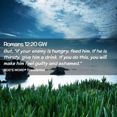 Picture 02 - Romans 12:20 GW - But, “If your enemy is hungry, feed him. If he - Bible Verse Picture