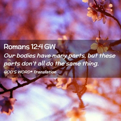 Picture 02 - Romans 12:4 GW - Our bodies have many parts, but these parts - Bible Verse Picture