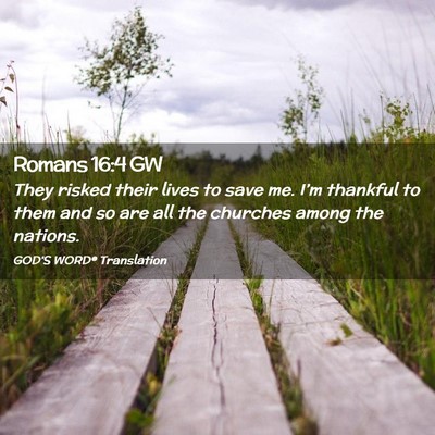 Picture 02 - Romans 16:4 GW - They risked their lives to save me. I’m - Bible Verse Picture