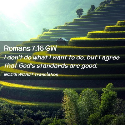 Picture 02 - Romans 7:16 GW - I don’t do what I want to do, but I agree that - Bible Verse Picture