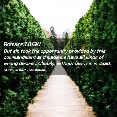Picture 02 - Romans 7:8 GW - But sin took the opportunity provided by this - Bible Verse Picture