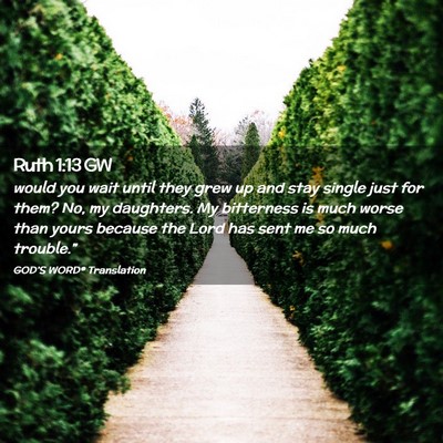 Picture 02 - Ruth 1:13 GW - would you wait until they grew up and stay single - Bible Verse Picture