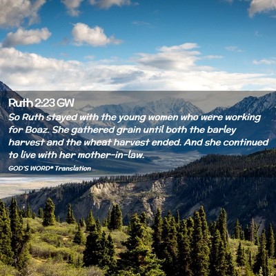 Picture 02 - Ruth 2:23 GW - So Ruth stayed with the young women who were - Bible Verse Picture