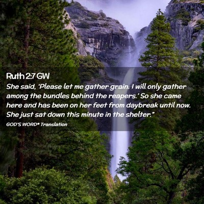 Picture 02 - Ruth 2:7 GW - She said, ‘Please let me gather grain. I will - Bible Verse Picture