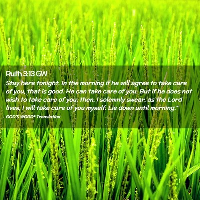 Picture 02 - Ruth 3:13 GW - Stay here tonight. In the morning if he will - Bible Verse Picture