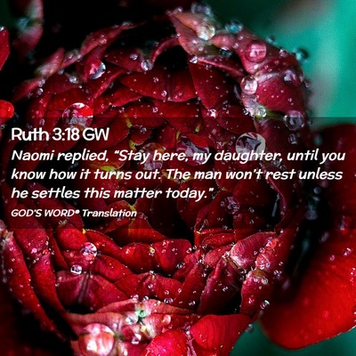 Picture 02 - Ruth 3:18 GW - Naomi replied, “Stay here, my daughter, until - Bible Verse Picture
