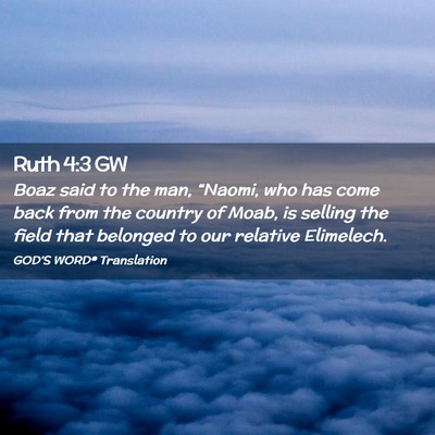 Picture 02 - Ruth 4:3 GW - Boaz said to the man, “Naomi, who has come back - Bible Verse Picture
