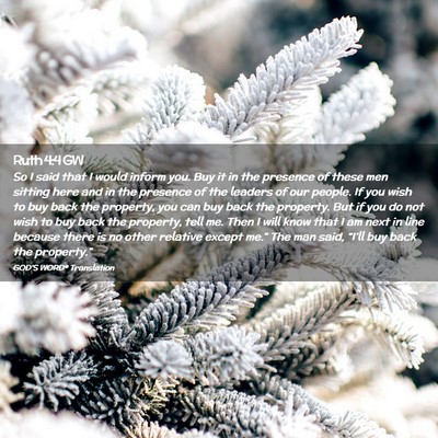 Picture 02 - Ruth 4:4 GW - So I said that I would inform you. Buy it in the - Bible Verse Picture