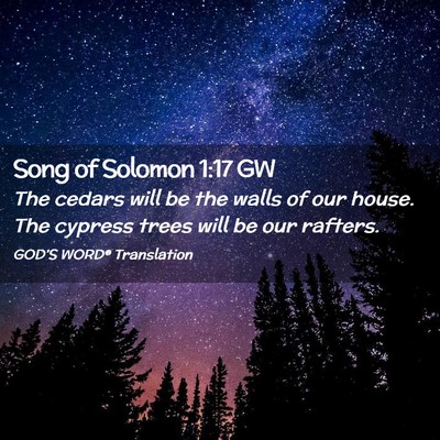 Picture 02 - Song of Solomon 1:17 GW - The cedars will be the walls of our house. The - Bible Verse Picture