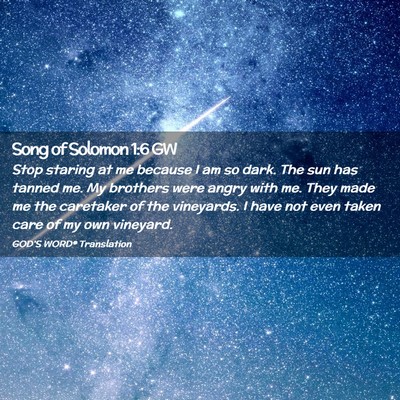 Picture 02 - Song of Solomon 1:6 GW - Stop staring at me because I am so dark. The sun - Bible Verse Picture