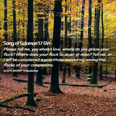 Picture 02 - Song of Solomon 1:7 GW - Please tell me, you whom I love, where do you - Bible Verse Picture